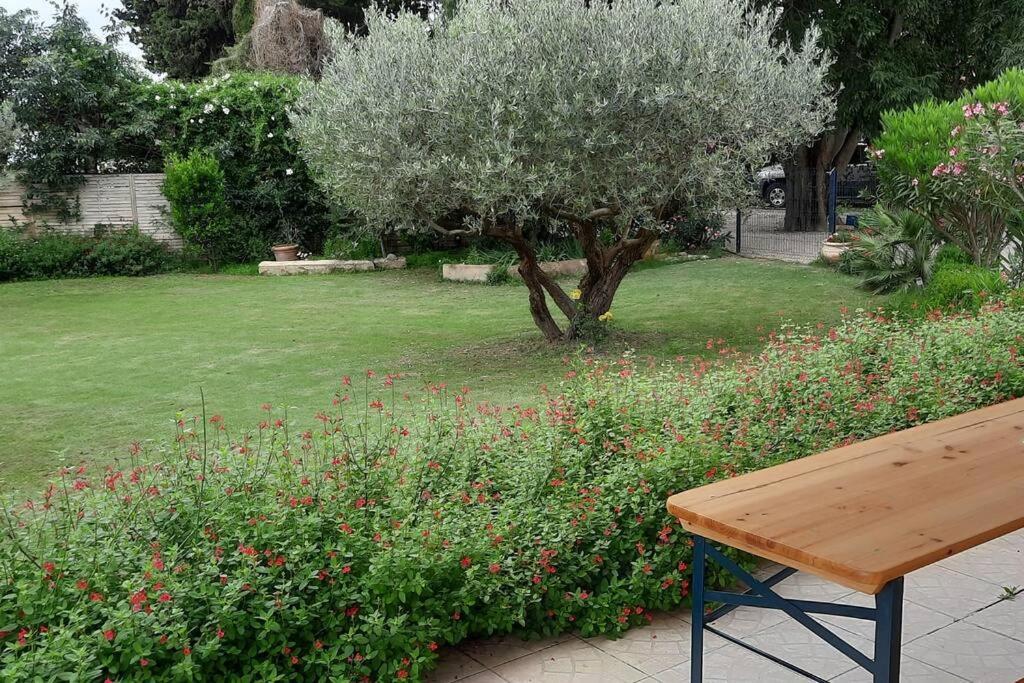 Villa L'Estel En Campagne Avec Piscine Privee Proche Arles Et Avignon Tarascon Dış mekan fotoğraf